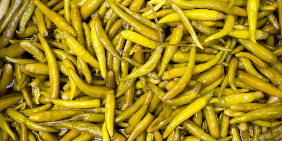 Geleneksel Turşu Yapım Yöntemleri ve Fermantasyon Süreci