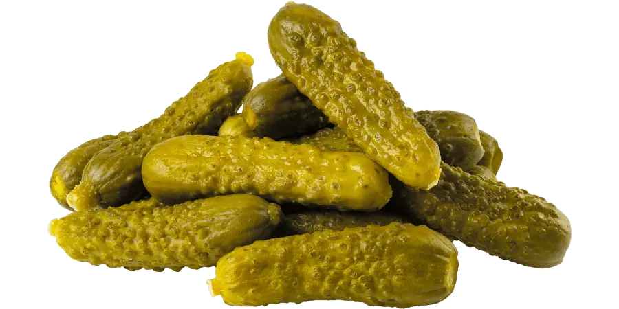 Çeşit Çeşit Katkısız Turşular