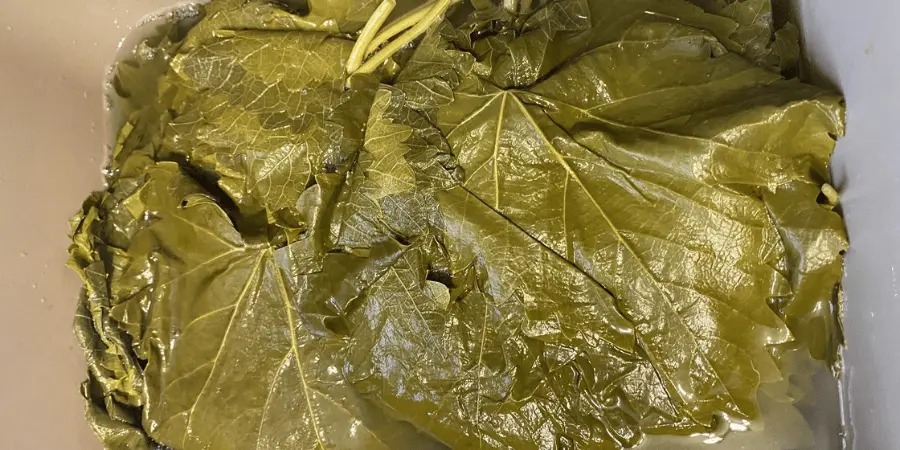 GİRİŞ VE KÜLTÜREL ARKA PLAN: YAPRAĞIN ANADOLU’DAKİ HİKAYESİ