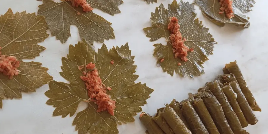 Sarma Yaprağı için İdeal Üzüm Çeşitleri: Kaliteyi Belirleyen Kriterler